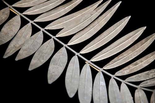 Muà image 24
